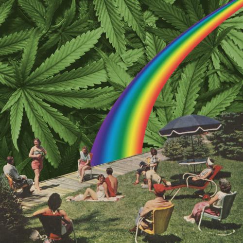 While almost every other industry is drowning, weed is having a moment in the sun.