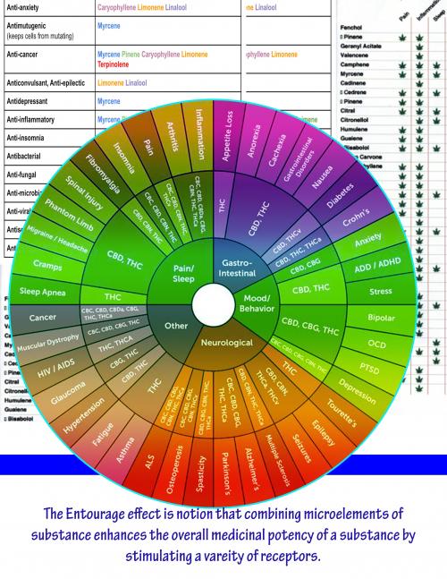 The “Entourage Effect” and how small things can make a big difference in Medicinal potency.   By K.McKernan Hon BSc and Master Herbalist