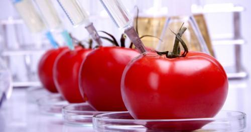 GMO Foods Will Soon be Mislabeled as Biofortified