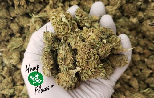 Health Benefits and Side Effects Of Hemp Flower?