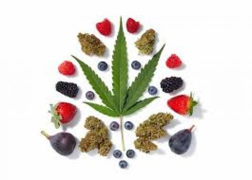 Vitamin THC: Cannabis as a Superfood