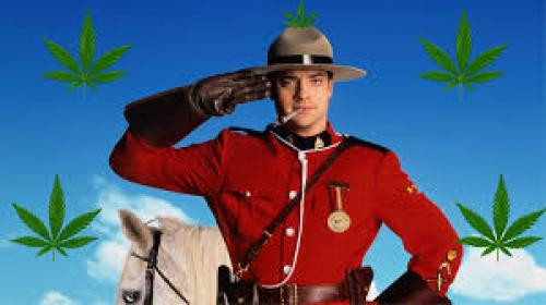 The RCMP Accidentally Endorsed the Hell out of Black Market Weed