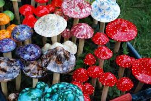 An Israeli Company Is Combining Mushrooms with Marijuana to Treat Illnesses