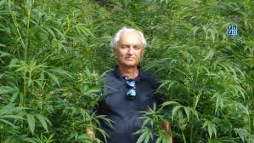 Lumír Hanuš Has Been Researching Cannabis for 50 Years