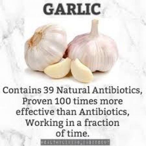 Garlic Proven 100 Times More Effective Than Antibiotics, Working In A Fraction of The Time