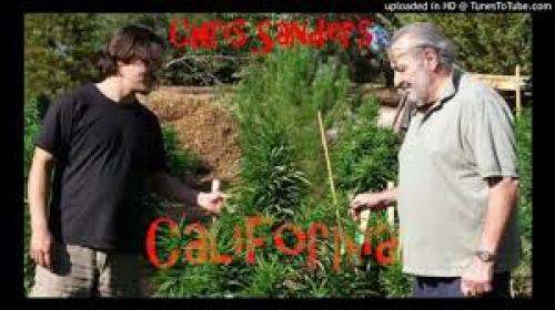 The Federal Medical Marijuana Documentary Produced by Chris Sanders