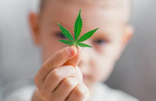 Pediatricians Seeing a Growing Demand for Medical Cannabis for Kids