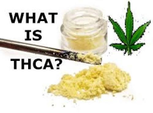 THC-A: A Better Anti-Inflammatory And Neuro-Protectant