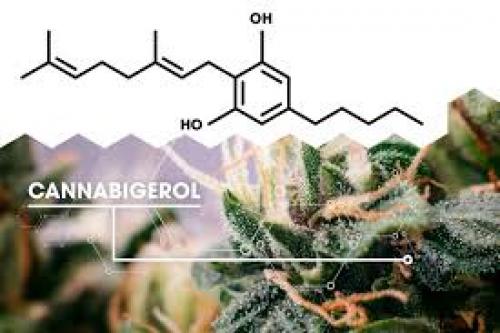 Cannabigerol, a cannabinoid with antibiotic potential