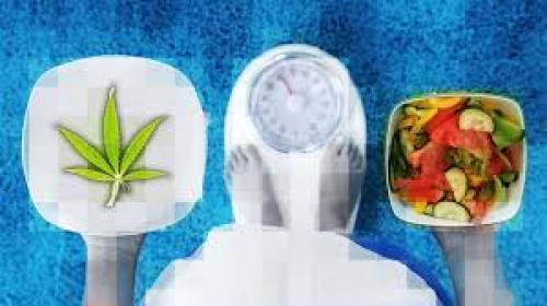 How can Marijuana Help People Lose Weight?