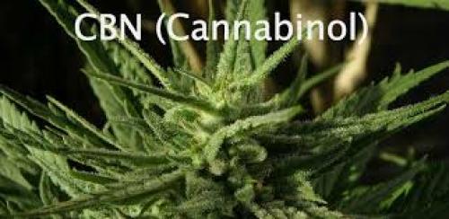 What is CBN and What are the Benefits of This Cannabinoid?