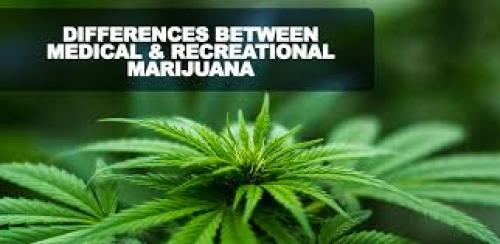 5 Main Differences Between Medical vs Recreational Marijuana