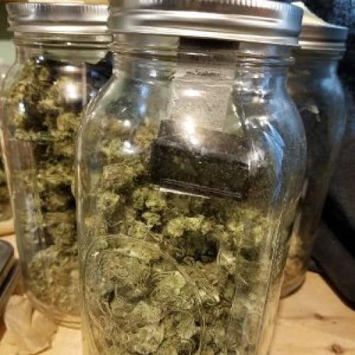 How to Cure your cannabis flowers.