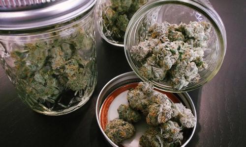 How to Store Cannabis Flowers Properly