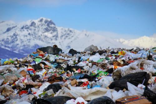 Why the World NEEDS Hemp Plastic
